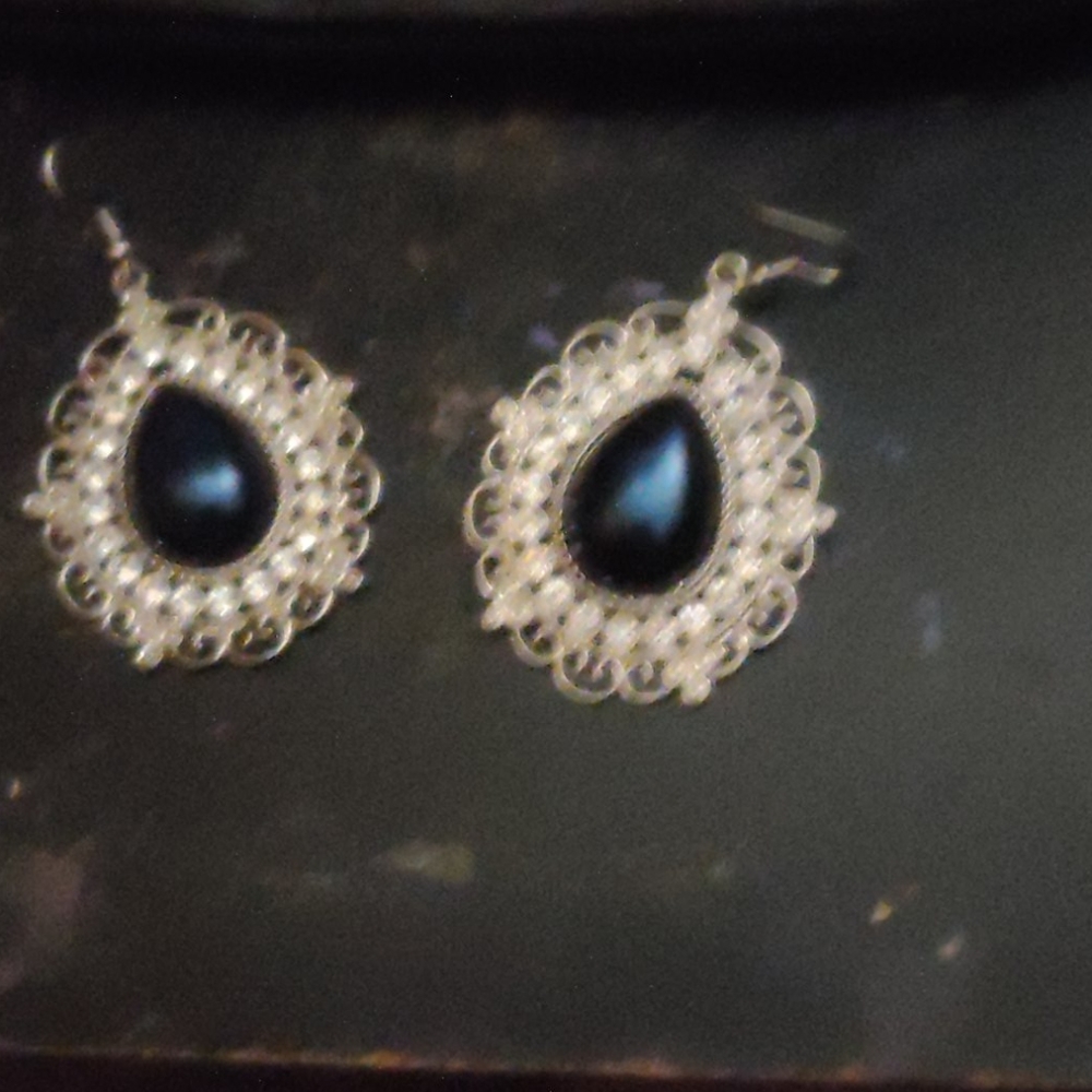 Blue and silver earrings